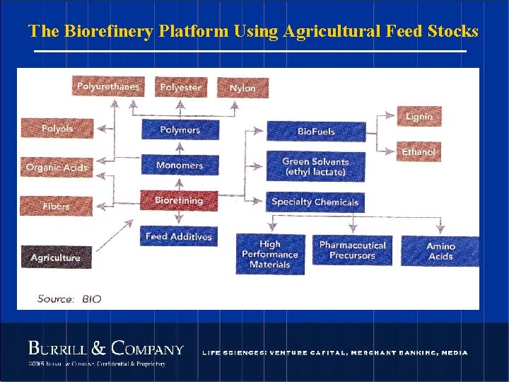 The Biorefinery Platform Using Agricultural Feed Stocks 93 © 2004 Burrill & Company. Confidential