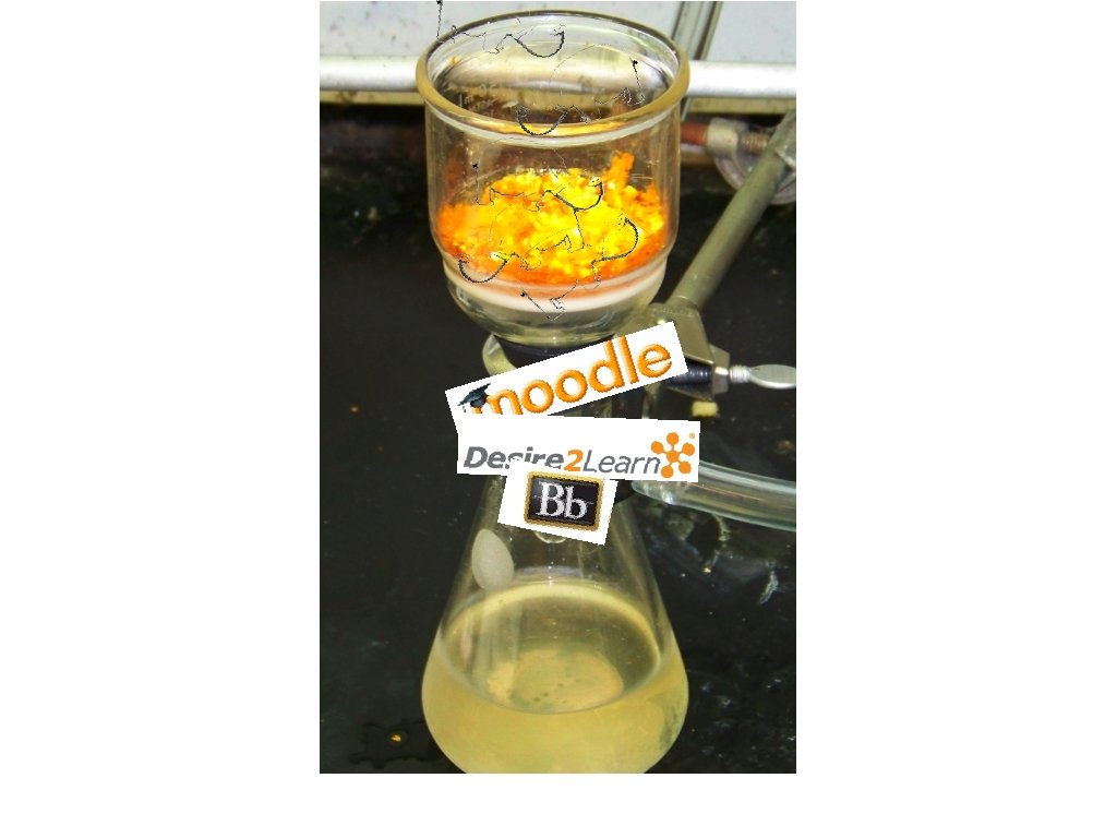 http: //upload. wikimedia. org/wikipedia/commons/e/ea/Filter. Funnel. Apparatus. png http: //upload. wikimedia. org/wikipedia/commons/e/ea/Filter. Funnel. Apparatus. png