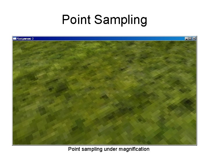 Point Sampling Point sampling under magnification 