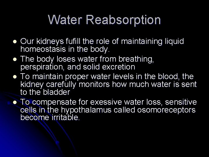 Water Reabsorption l l Our kidneys fufill the role of maintaining liquid homeostasis in