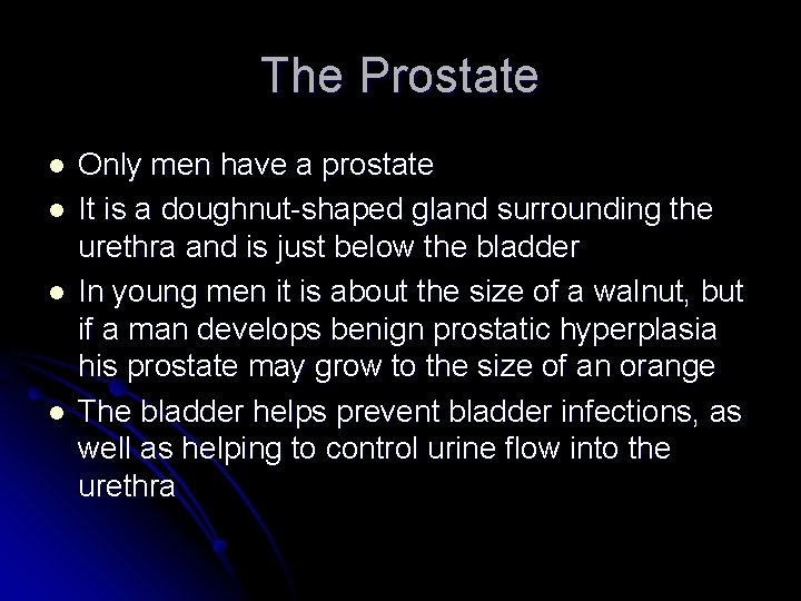 The Prostate l l Only men have a prostate It is a doughnut-shaped gland