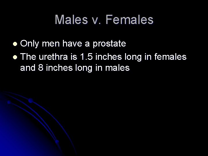 Males v. Females Only men have a prostate l The urethra is 1. 5