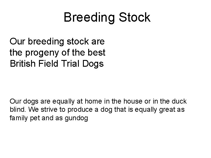 Breeding Stock Our breeding stock are the progeny of the best British Field Trial