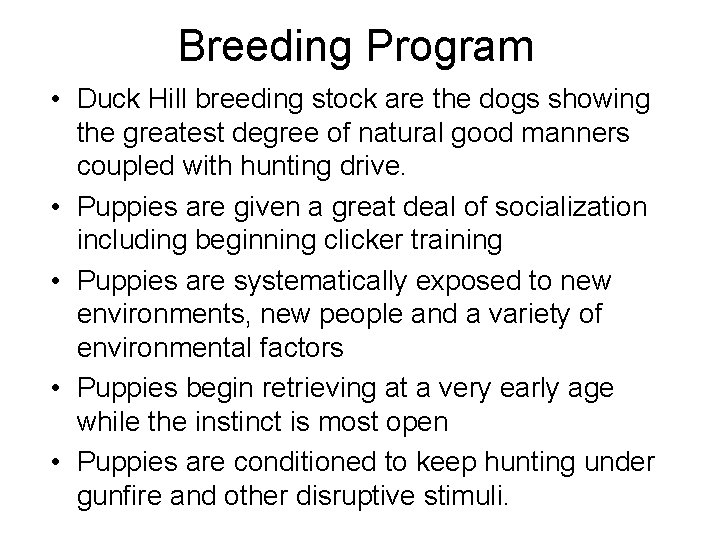 Breeding Program • Duck Hill breeding stock are the dogs showing the greatest degree