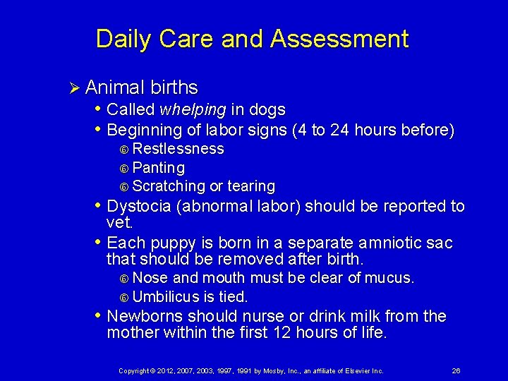 Daily Care and Assessment Ø Animal births • Called whelping in dogs • Beginning