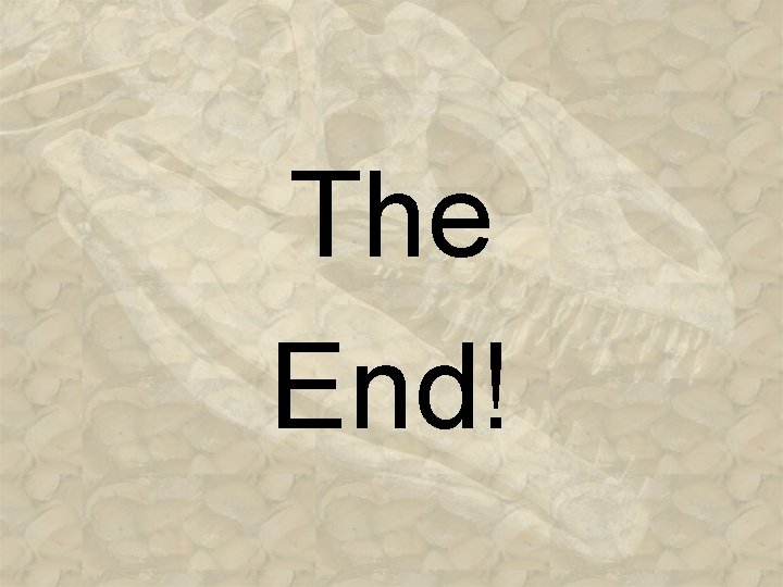 The End! 