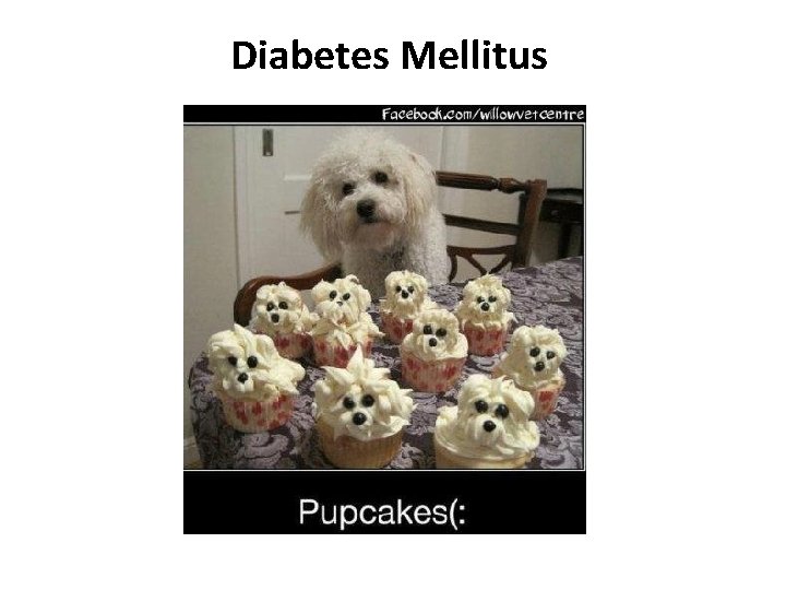 Diabetes Mellitus 