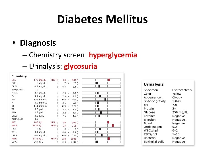 Diabetes Mellitus • Diagnosis – Chemistry screen: hyperglycemia – Urinalysis: glycosuria Diabetes Mellitus • Diagnosis – Chemistry screen: hyperglycemia – Urinalysis: glycosuria