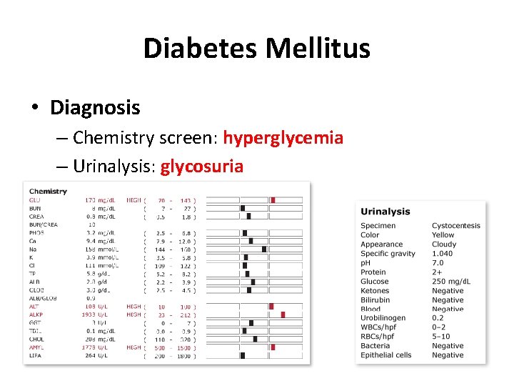 Diabetes Mellitus • Diagnosis – Chemistry screen: hyperglycemia – Urinalysis: glycosuria 