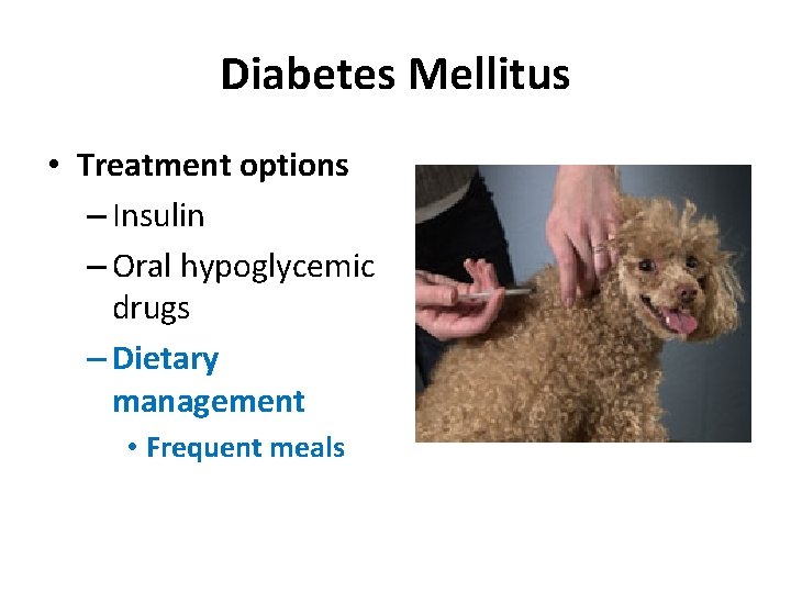 Diabetes Mellitus • Treatment options – Insulin – Oral hypoglycemic drugs – Dietary management