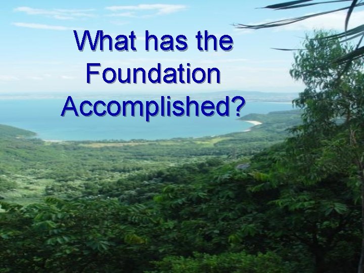 What has the Foundation Accomplished? 