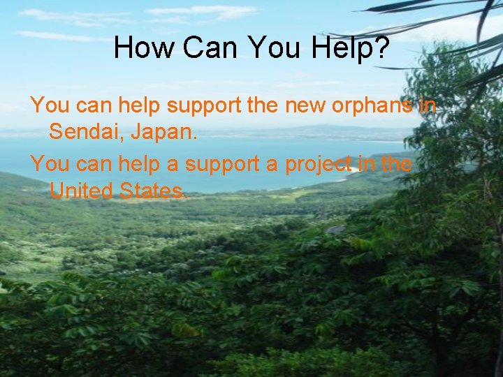 How Can You Help? You can help support the new orphans in Sendai, Japan.