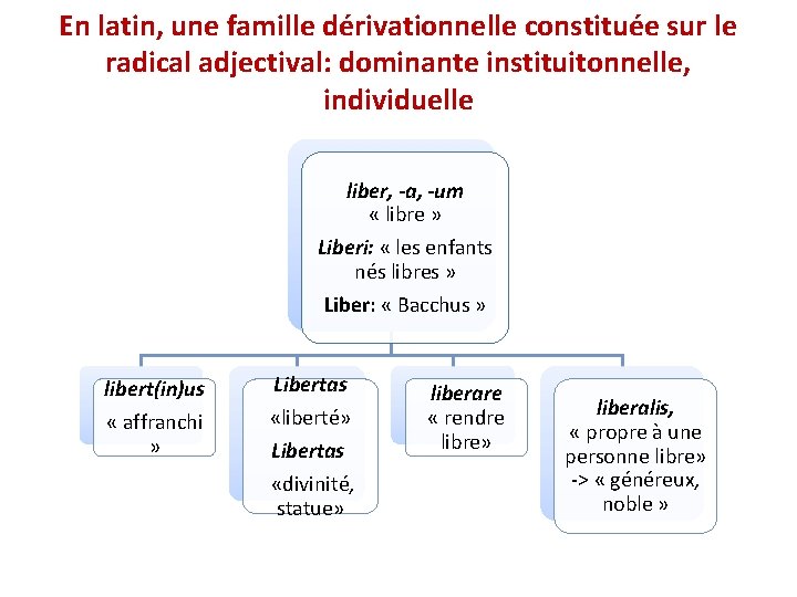 En latin, une famille dérivationnelle constituée sur le radical adjectival: dominante instituitonnelle, individuelle liber,