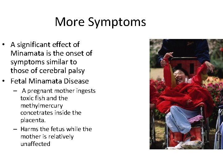 More Symptoms • A significant effect of Minamata is the onset of symptoms similar
