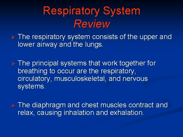 Respiratory System Review Ø The respiratory system consists of the upper and lower airway