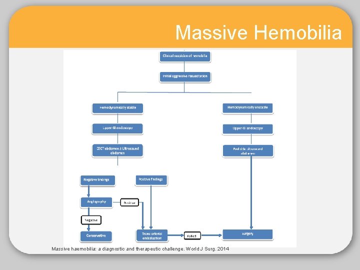 Massive Hemobilia Massive haemobilia: a diagnostic and therapeutic challenge. World J Surg. 2014 