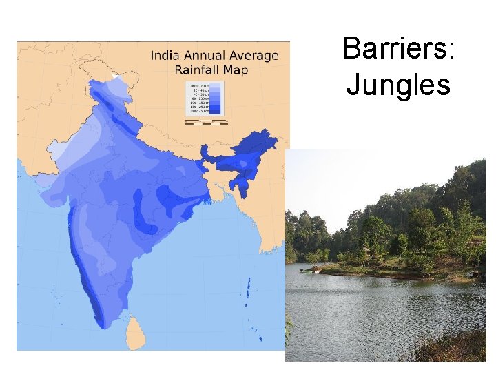 Barriers: Jungles 