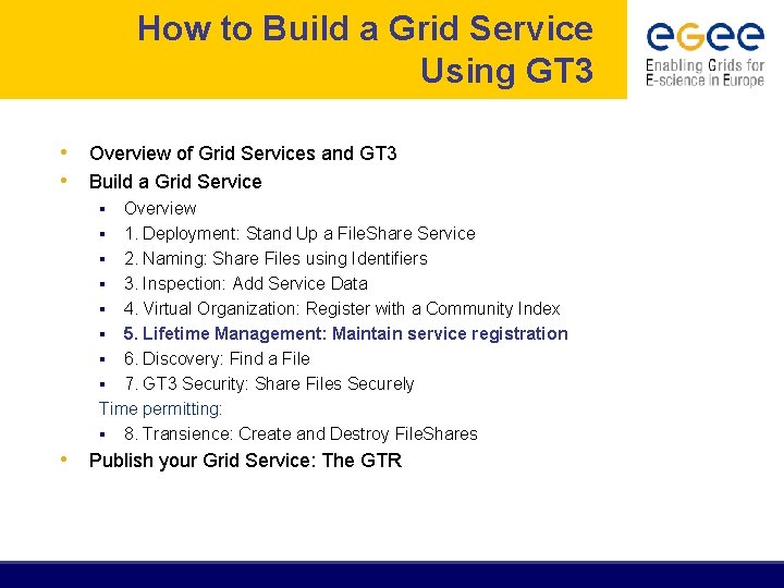 How to Build a Grid Service Using GT 3 • Overview of Grid Services