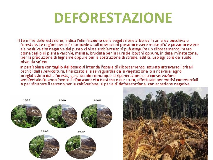 DEFORESTAZIONE Il termine deforestazione, indica l'eliminazione della vegetazione arborea in un'area boschiva o forestale.