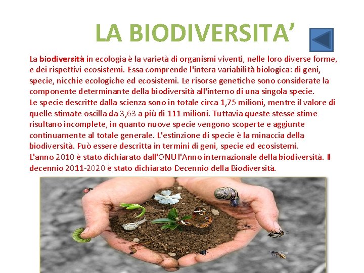 LA BIODIVERSITA’ La biodiversità in ecologia è la varietà di organismi viventi, nelle loro