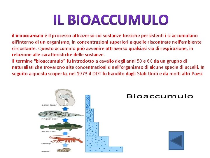 il bioaccumulo è il processo attraverso cui sostanze tossiche persistenti i si accumulano all'interno