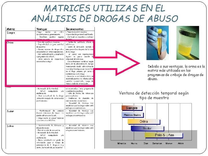 MATRICES UTILIZAS EN EL ANÁLISIS DE DROGAS DE ABUSO Debido a sus ventajas, la