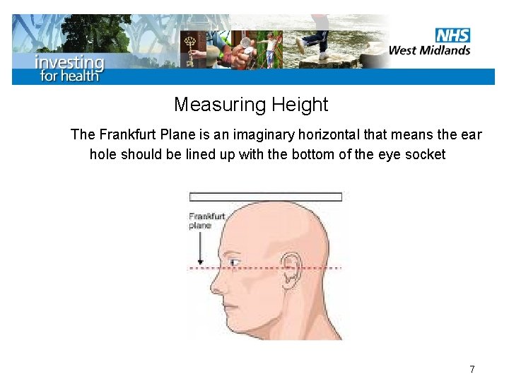 Measuring Height The Frankfurt Plane is an imaginary horizontal that means the ear hole