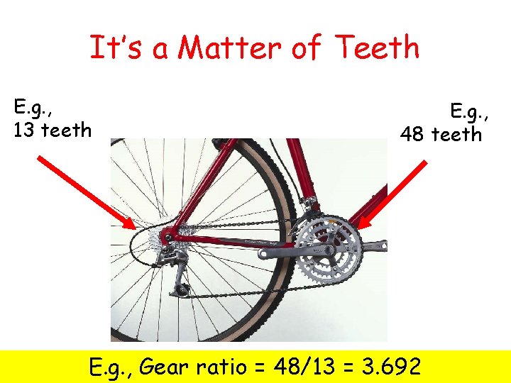 It’s a Matter of Teeth E. g. , 13 teeth E. g. , 48