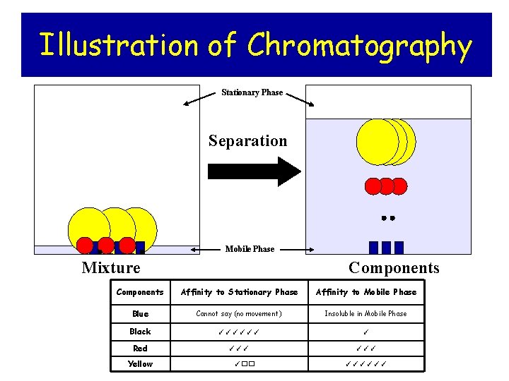 Illustration of Chromatography Stationary Phase Separation Mobile Phase Mixture Components Affinity to Stationary Phase