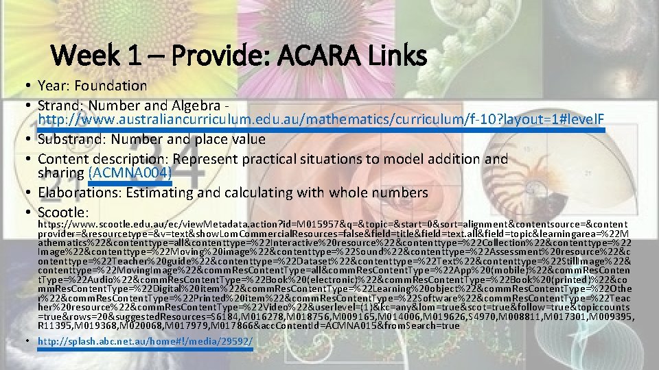 Week 1 – Provide: ACARA Links • Year: Foundation • Strand: Number and Algebra