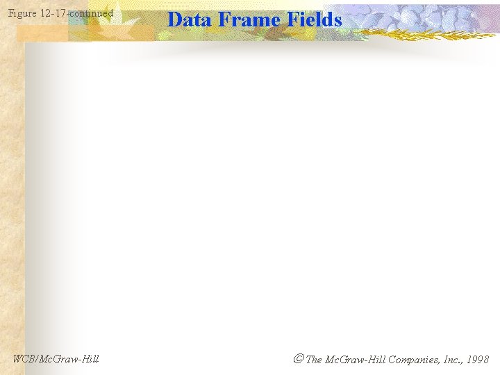 Figure 12 -17 -continued WCB/Mc. Graw-Hill Data Frame Fields The Mc. Graw-Hill Companies, Inc.