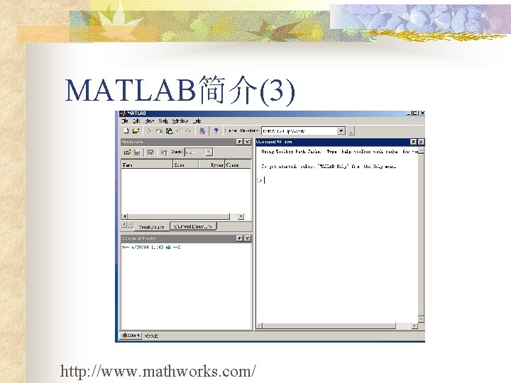 MATLAB简介(3) http: //www. mathworks. com/ 