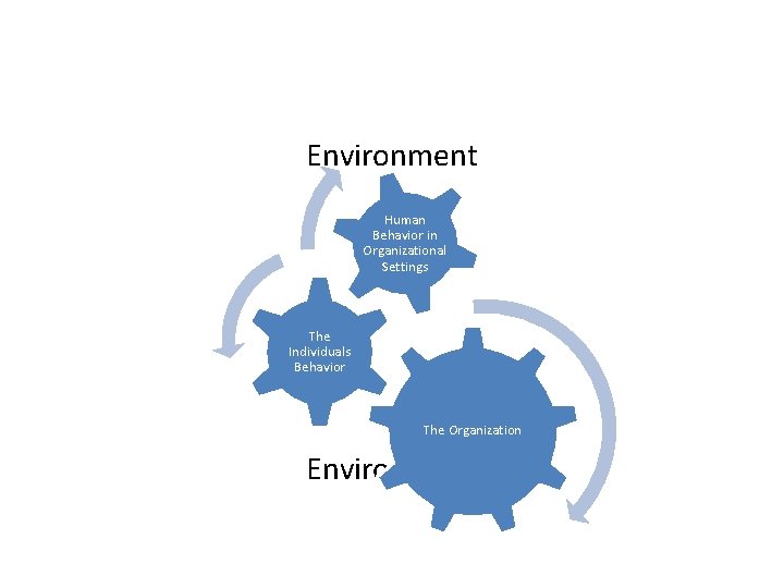 Environment Human Behavior in Organizational Settings The Individuals Behavior The Organization Environment 