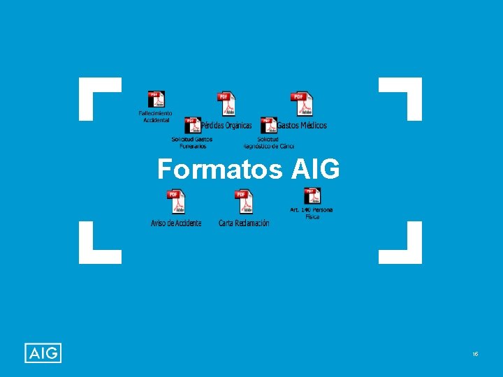 Formatos AIG 15 