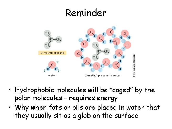 Reminder • Hydrophobic molecules will be “caged” by the polar molecules – requires energy