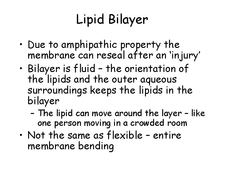 Lipid Bilayer • Due to amphipathic property the membrane can reseal after an ‘injury’