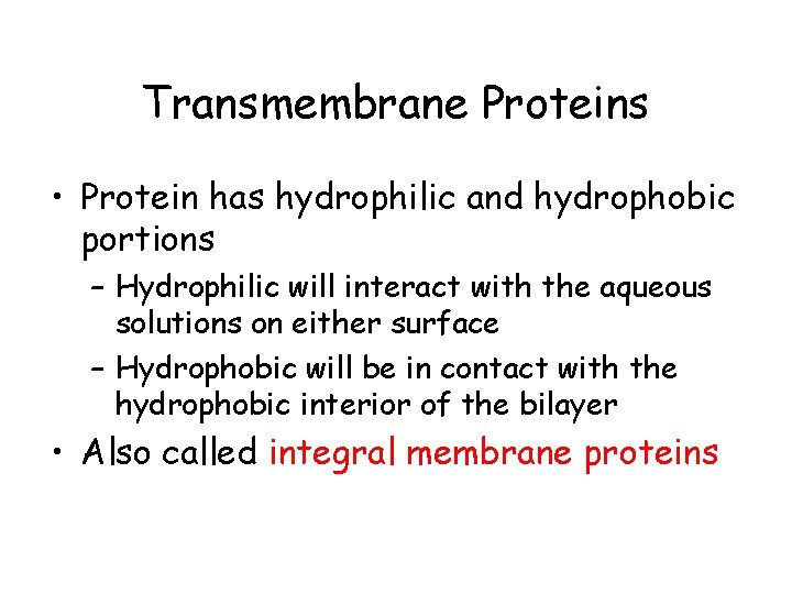 Transmembrane Proteins • Protein has hydrophilic and hydrophobic portions – Hydrophilic will interact with