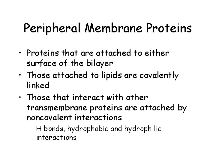 Peripheral Membrane Proteins • Proteins that are attached to either surface of the bilayer