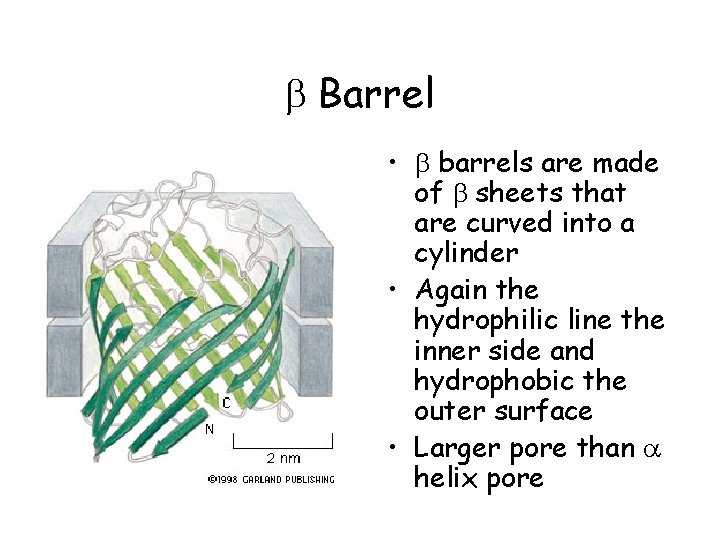  Barrel • barrels are made of sheets that are curved into a cylinder