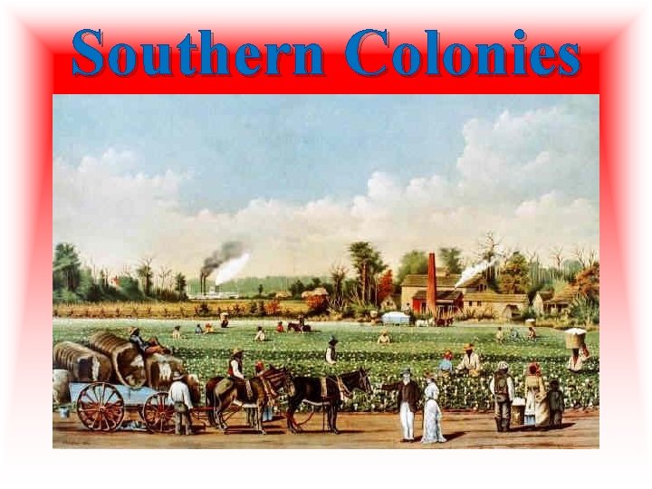 Southern Colonies  Southern Colonies