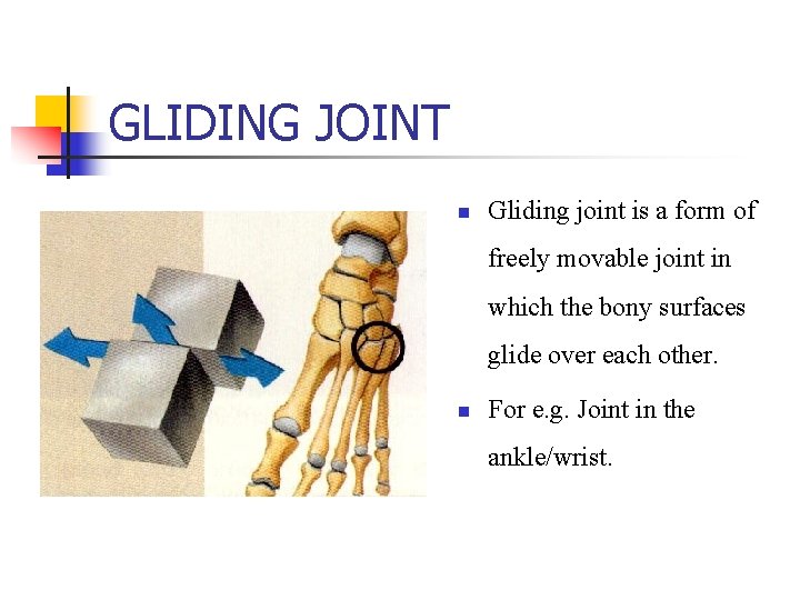 GLIDING JOINT n Gliding joint is a form of freely movable joint in which