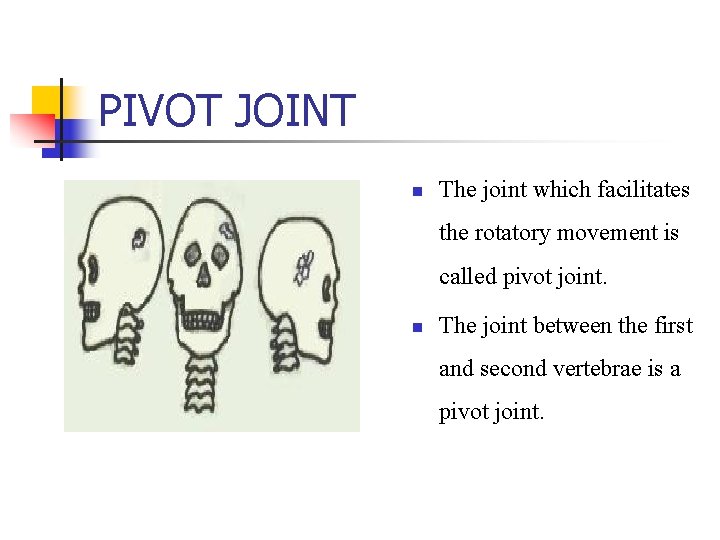 PIVOT JOINT n The joint which facilitates the rotatory movement is called pivot joint.