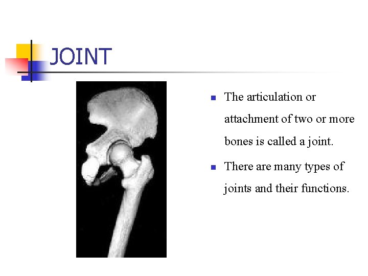 JOINT n The articulation or attachment of two or more bones is called a