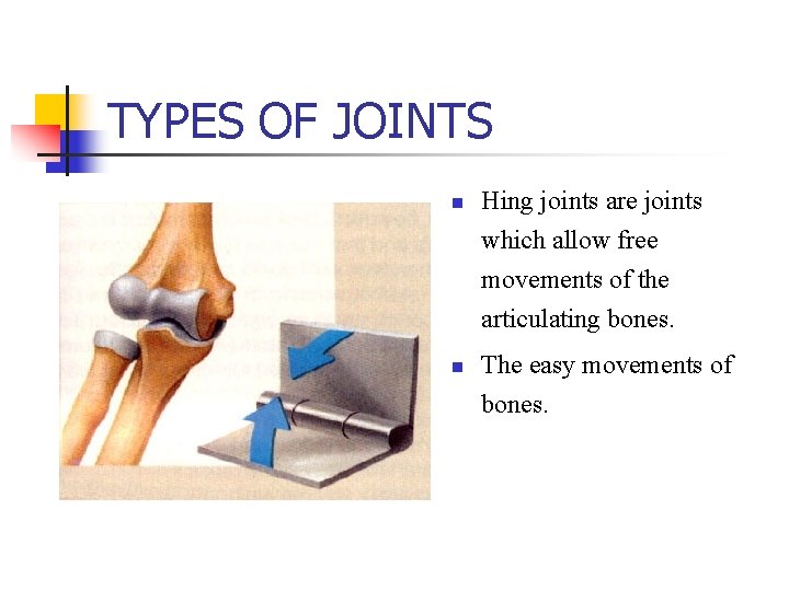 TYPES OF JOINTS n Hing joints are joints which allow free movements of the