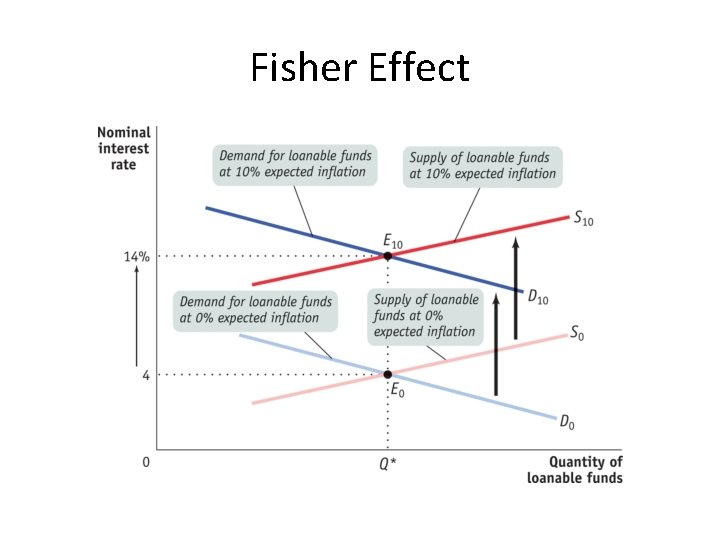 Fisher Effect 