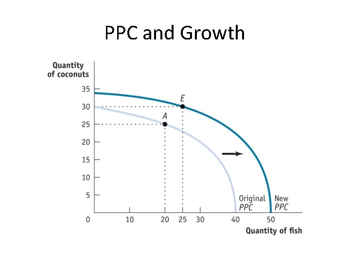 PPC and Growth 