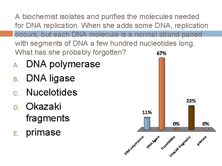 A biochemist isolates and purifies the molecules needed for DNA replication. When she adds
