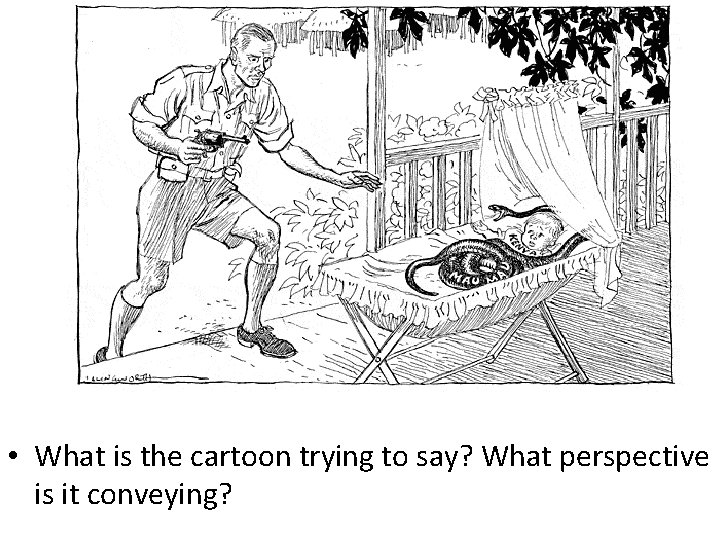  • What is the cartoon trying to say? What perspective is it conveying?