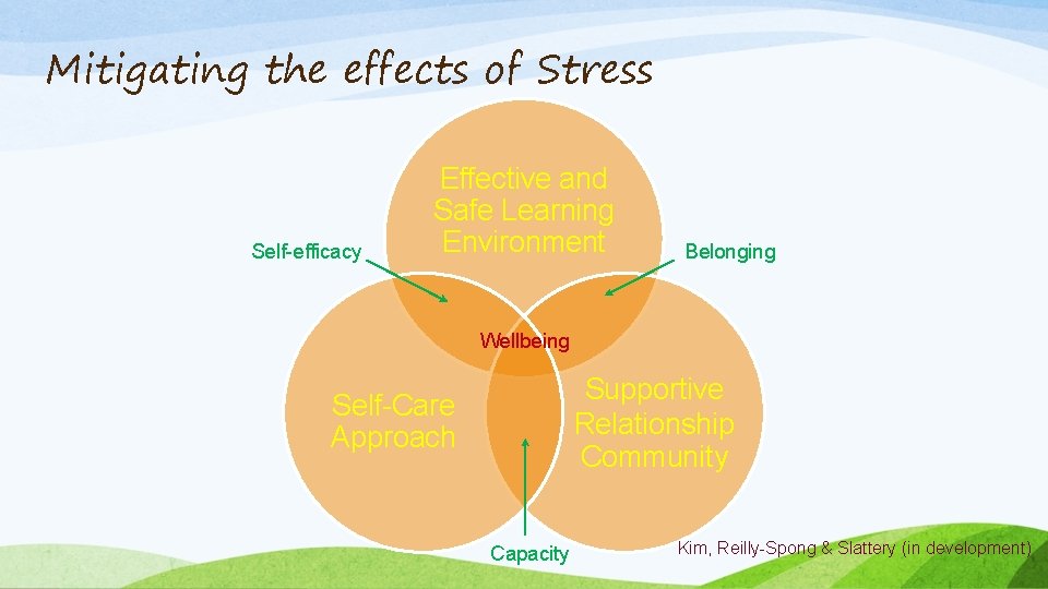 Mitigating the effects of Stress Self-efficacy Effective and Safe Learning Environment Belonging Wellbeing Supportive