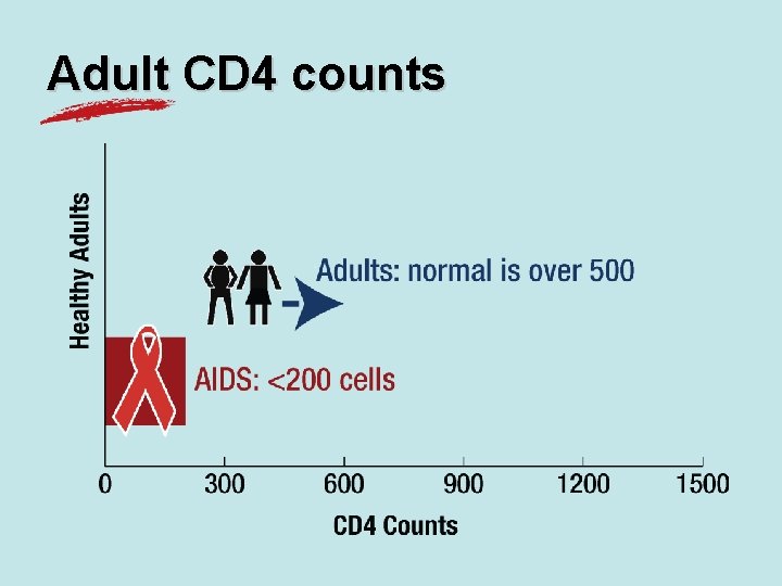 Adult CD 4 counts 